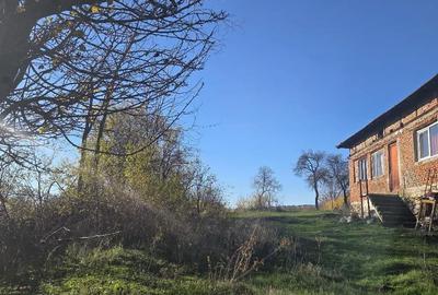 Casă cu 2 camere cu Teren 4300 Mp în Jidoștița - 2