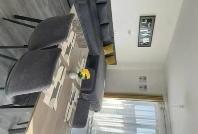 Apartament cu 2 camere decomandat în Băile Felix - 8