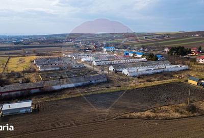 Teren de 39600 mp, în Traian - 6