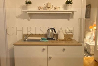 Apartament cu 2 camere semidecomandat, mobilat în Cișmigiu - 9