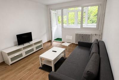 Apartament cu 2 camere decomandat în Giurgiului