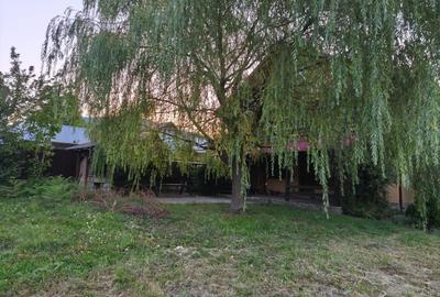 CASA  DE VACANTA - 17