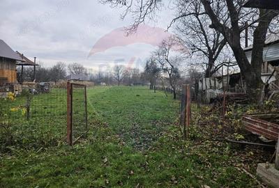 Casa / Vila cu 4 camere de vanzare - 1