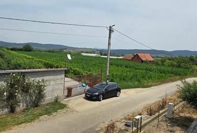 Casă cu 6 camere în Leșnic - 9