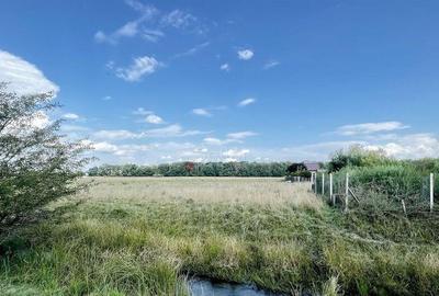 Teren Extravilan - 9