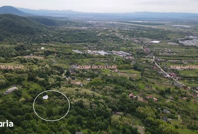 Casă cu 4 camere cu Teren 7400 Mp în Cicârlău - 6