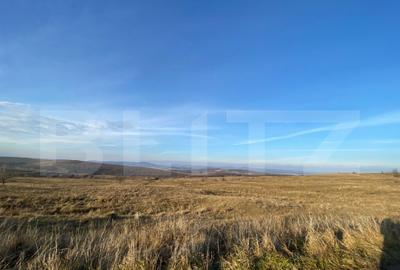 Parcele intravilane cu panorama superba in Chinteni - 4