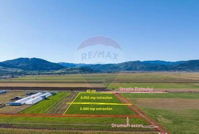 Teren de 7500 mp, în Tărlungeni - 3