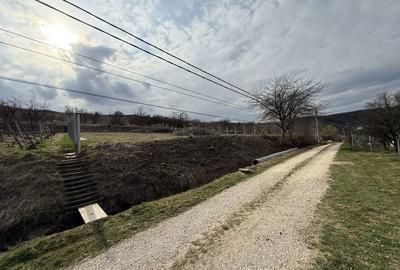 Spațiu comercial, de 500 mp, în Ciumbrud - 5