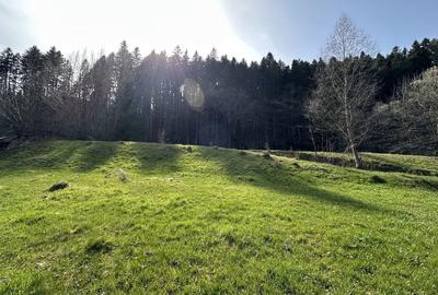 Teren de 6888 mp, în Putna - 8