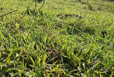 Casa 3 camere +teren in com Bune?ti sat Teiusu judetul Valcea, - 1