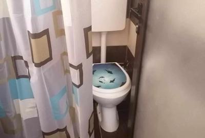 Garsonieră decomandată în Circumvalațiunii - 9