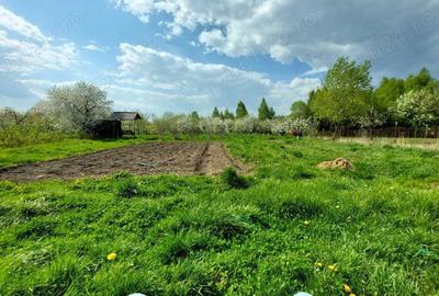 Teren de 5000 mp, în Pietroasa - 3