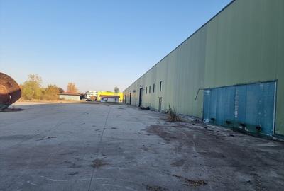 Hala 600 MP- Teren 15000-Otopeni-Centura Bucuresti - 2