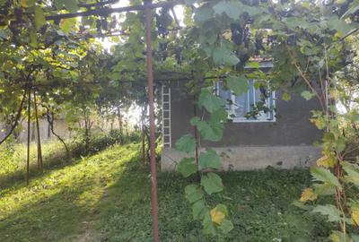 Casă cu 1 camere în Calea Mare