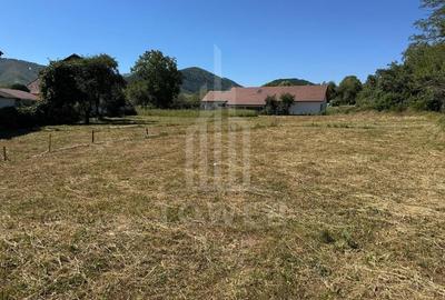 4 Parcele de vanzare | Rasinari - 6