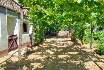 Casă cu 2 camere în Voivozi (Șimian) - 8