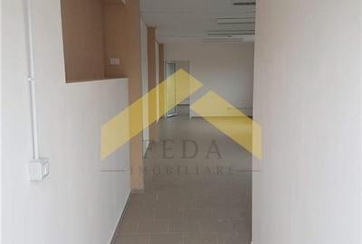 De vanzare doua hale pe un teren imprejmuit 9000 mp zona Gai - 5