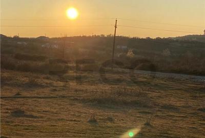 RECO Teren intravilan in Saldabagiu De Munte 2000mp - 2