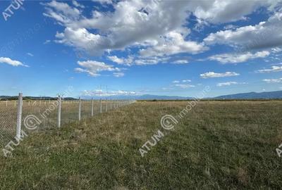 Teren de 4200 mp, în Central - 3