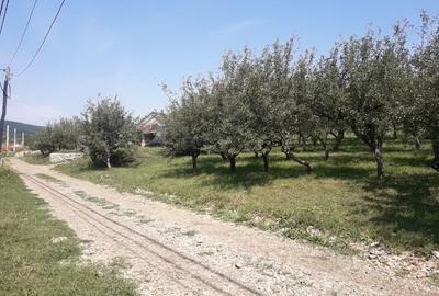 85 ari teren extravilan, intre case, la limita intravilanului Zona Valea Rusului - 2