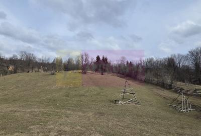 Teren Construcții intravilan de 2220 mp, în Valea Doftanei - 1