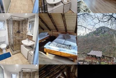 Casa de vacanță la munte - 2