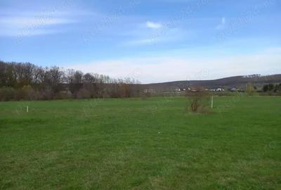 Vand teren Dragomirna 3000 mp langa padure - 5