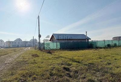 Teren intravilan 550 mp de vanzare in Paleu - 5