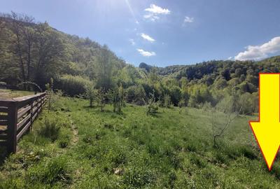 Vanzare 1266 mp teren superb Cheile Rasnoavei la munte langa padure si pensiuni - 14