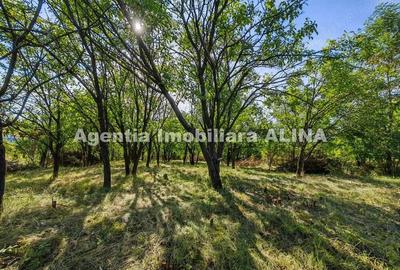 Casă cu 2 camere în Criș - 15