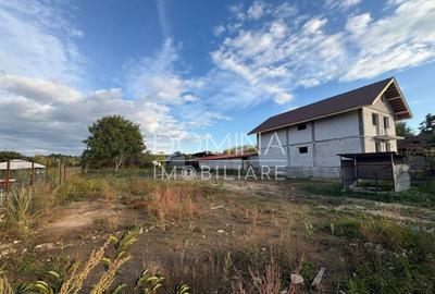 Teren 4449 mp cu utilitati, Curtisoara - la 13 km Tg. Jiu - 1