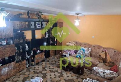 Casa individuala, 7 camere, mobilata ?i utilata Pi?chia ? - 10