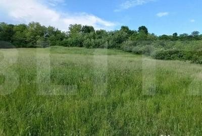 Teren de 9100 mp, în Central - 1