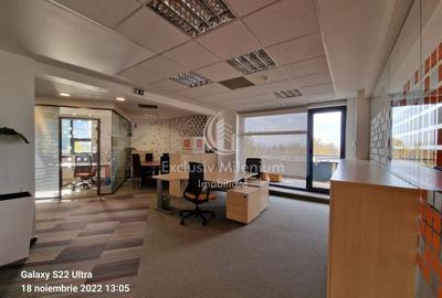 Birou, de 450 mp, în Băneasa - 15