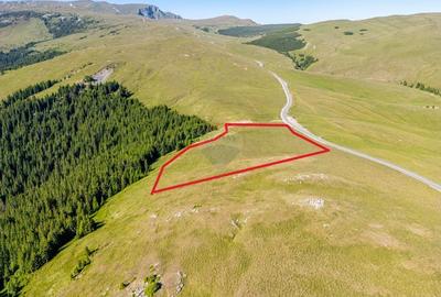 Teren intravilan Transbucegi / Oportunitate de dezvoltare Transbucegi - 12
