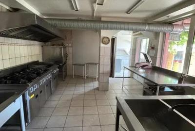Vila P+1, Zona Traian - 6