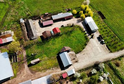 Spațiu comercial, în Central - 6