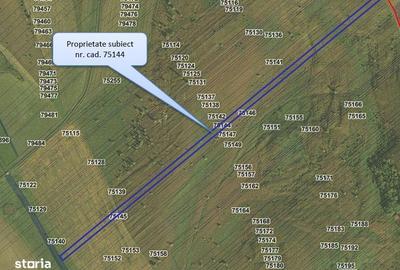 Teren de 24200 mp, în Muntenii de Jos - 9