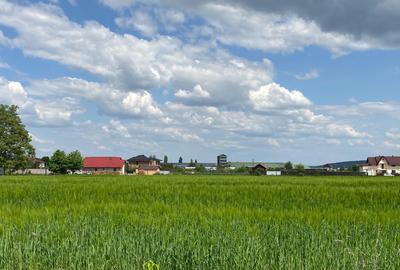 Teren Construcții intravilan de 27500 mp, în Central - 8