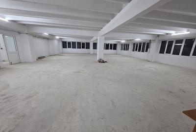 Theodor Pallady, 10 minute metrou 1 Decembrie 1918, stradal - 8