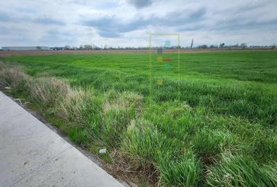 Teren intre SAG si Timisoara, langa depozit Profi - 3