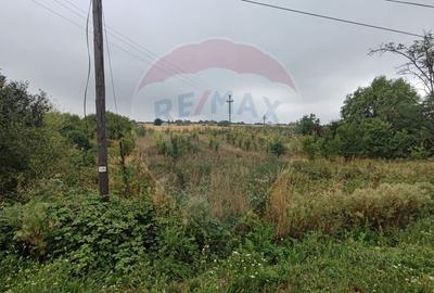 Teren Construcții intravilan de 2341 mp, în Uileacu de Munte - 13