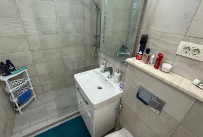 REA1025788 Apartament 2 Camere I De Vanzare I Piata Chibrit I Domenii REA1025788 Apartament 2 Camere I De Vanzare I Piata Chibrit I Domenii - 10