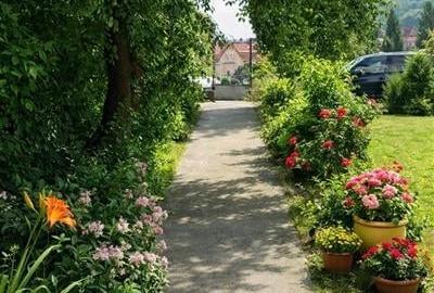 Vila Centru Istoric, Brasov: recomandata si pentru clinica/ centru educational - 3