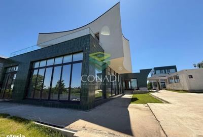 Casă cu 7 camere cu Teren 6000 Mp în Snagov