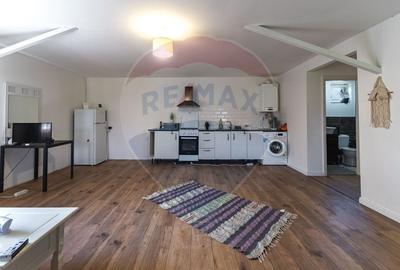 Casă individuală cu 11 camere cu Teren 1007 Mp în Stupini - 3