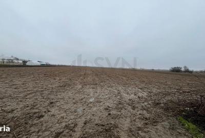 Spațiu comercial, în Merii - 1