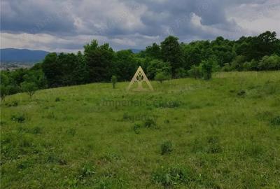 Teren de 23197 mp, în Mănăstirea Cașin - 2