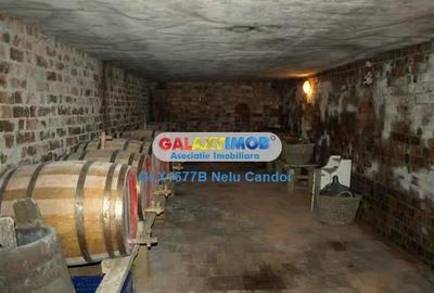 VANZARE 10.000 MP LOCALITATEA ILEANA 49 KM BUCURESTI - 11